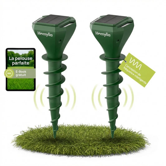 Chasse-Taupe Homylia